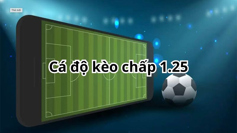 Cá độ kèo chấp 1.25