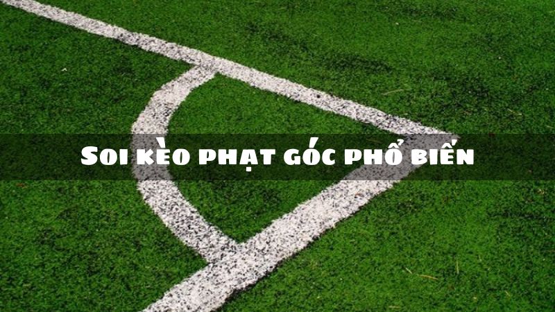 Những loại cược phổ biến 