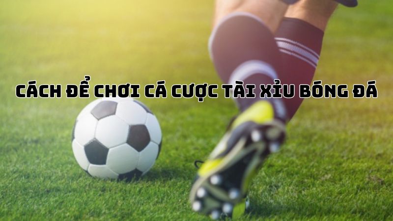 Cách để chơi cá cược tài xỉu bóng đá