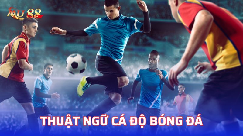 Tìm hiểu về thuật ngữ cá độ bóng đá