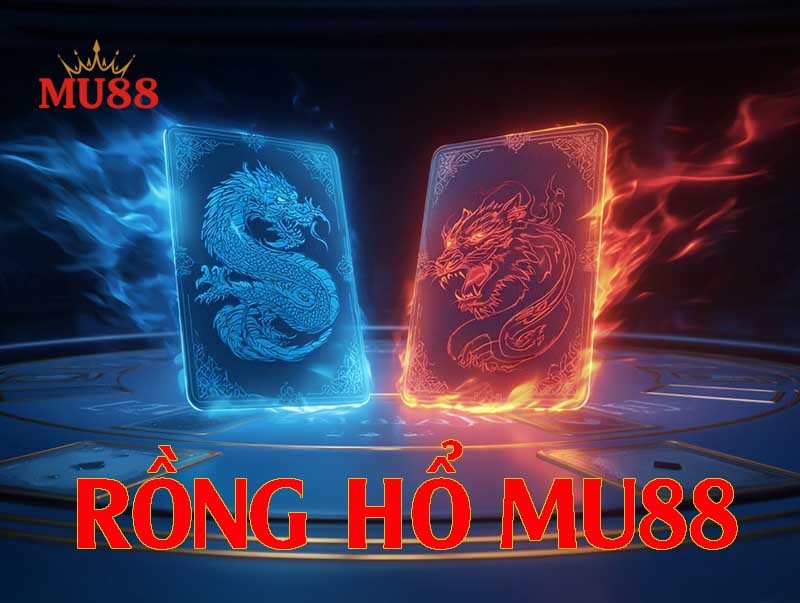 Giới thiệu sơ lược về trò chơi rồng hổ