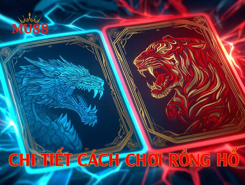 Hướng dẫn chi tiết cách chơi rồng hổ