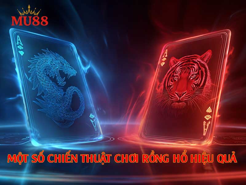 Hướng dẫn chi tiết cách chơi rồng hổ